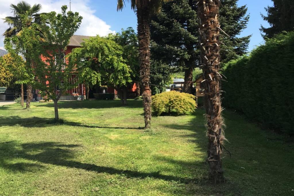 Apartmán Garola Coccode Luserna San Giovanni Exteriér fotografie